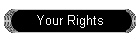 Your Rights